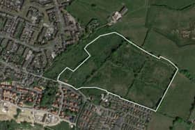 Mill Road Hailsham application site (Credit: Wealden planning portal)