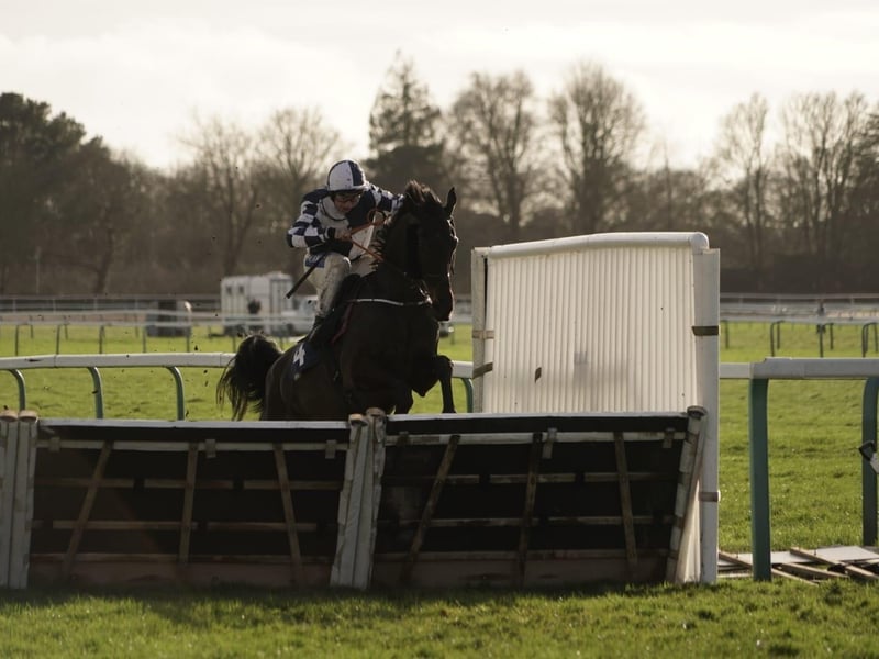 National Spirit Hurdle race day 2026 at Fontwell Park
