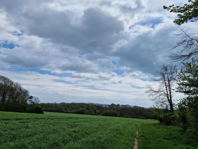 Follow the path through the field