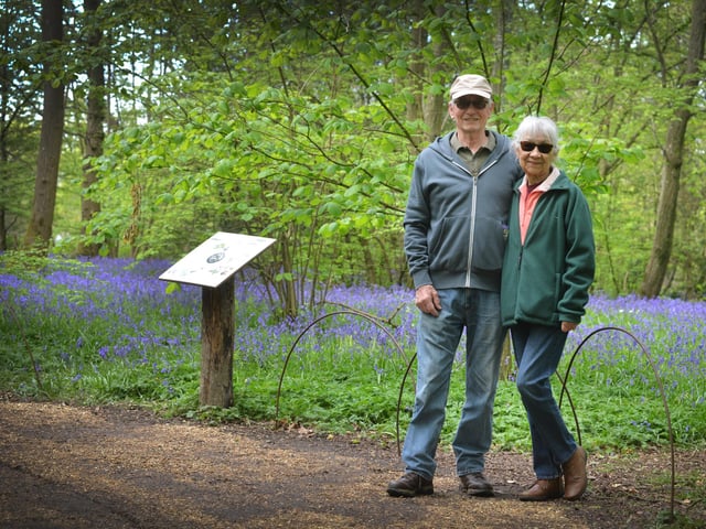 Arlington Bluebell Walk 2024. Photo taken on April 30.
