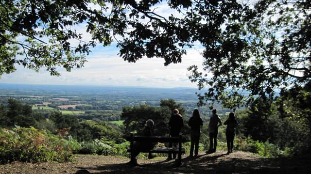 Explore the beautiful South Downs National Park