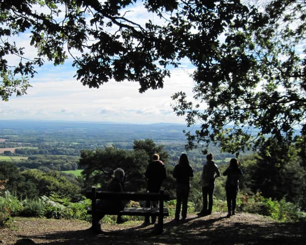 Explore the beautiful South Downs National Park