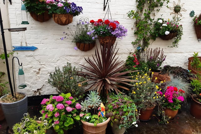Floral splendour at Brunswick Cottages, a tiny courtyard of four fishermen's houses off the twitten that marks the historic boundary between Worthing and Heene