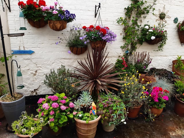 Floral splendour at Brunswick Cottages, a tiny courtyard of four fishermen's houses off the twitten that marks the historic boundary between Worthing and Heene