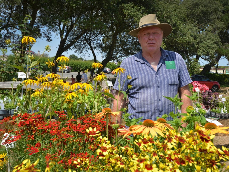 Hastings Botanic Garden's Midsummer Festival 2026.