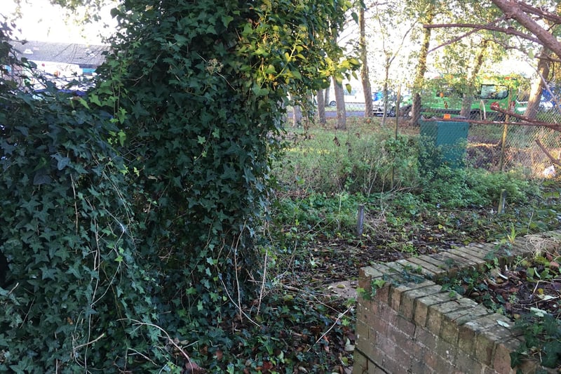 Garden clearance at The Lavinia Norfolk Centre at The Angmering School, before and after