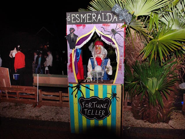 Halloween house at 5 Gillsmans Park, St Leonards, in aid of St Michael's Hospice. Photo by Frank Copper.