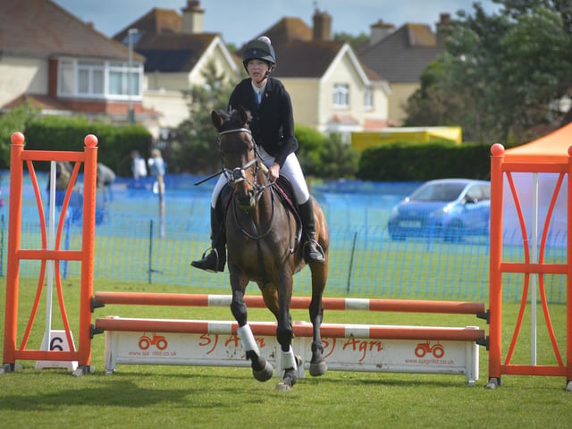 Bexhill Horse & Dog Show 2024.