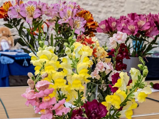 Antirrhinums and alstroemeria