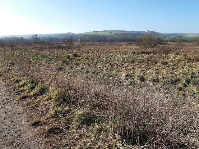 The Walk For All route in Bramber is an excellent walk that everyone can share. Search for West Sussex walks: River Adur – Downs Link - Bramber Castle, A Walk For All and beyond with photos and video to guide you