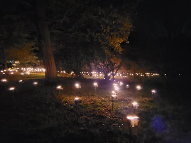 An enchanting winter lantern trail at Wakehurst Place