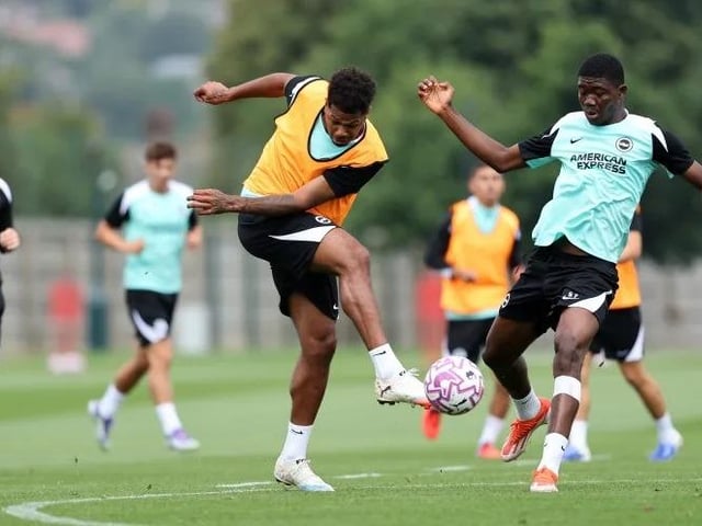 The £40m record signing looks to be fit and firing again after last season's injury. He will likely get the nod over Matt O'Riley and his contribution will be key as Albion prepare for life without Pedro.