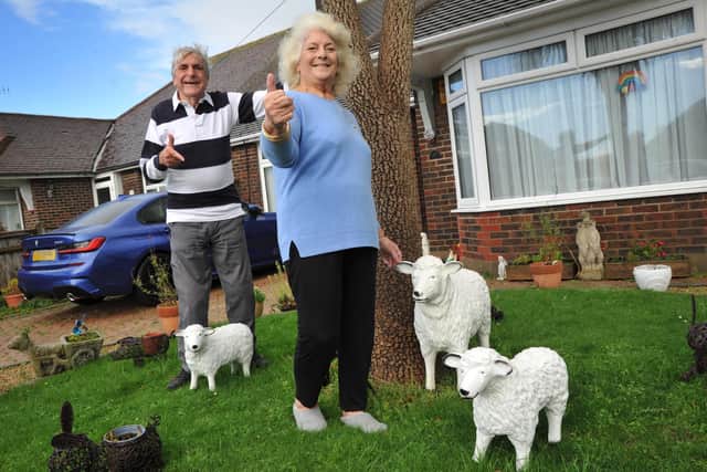 Jackie and Charlie's chia sheep were stolen last month but have now been returned to their home in Worthing. Photo: Steve Robards SR2211012