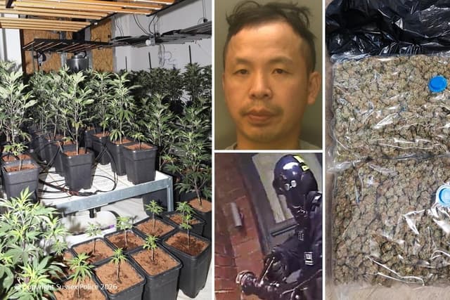 Man jailed after police seize ‘437 cannabis plants’ and ‘5kg of cropped ...