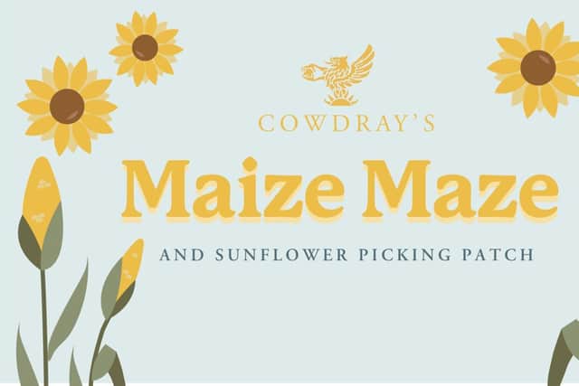 Cowdray's Maize Maze is a fun summer event to attend