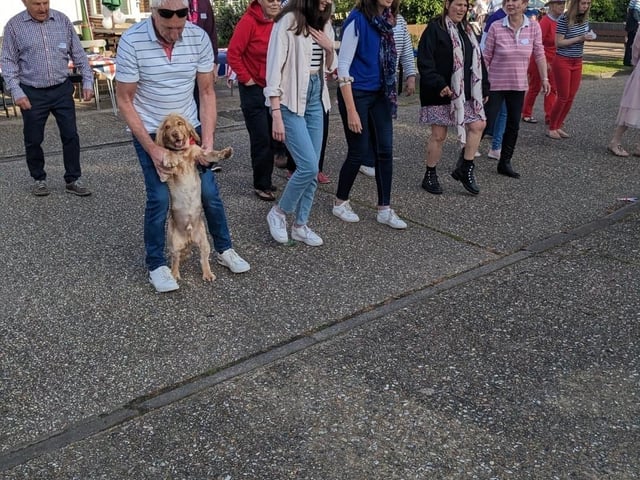 Around 150 Willowbed Drive family and friends taking part. We had face painting, rock painting, clay modelling, arts and crafts, best crown competition, quiz, lucky dip, bottle tombola, line dancing and karaoke into the late evening.