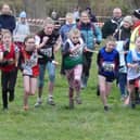The under-11 girls' race at Bexhill | Picture: Ian Luxford