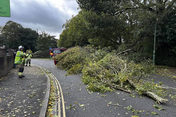Chichester road blocked due to fallen tree
