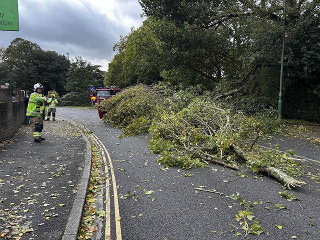 Chichester road blocked due to fallen tree