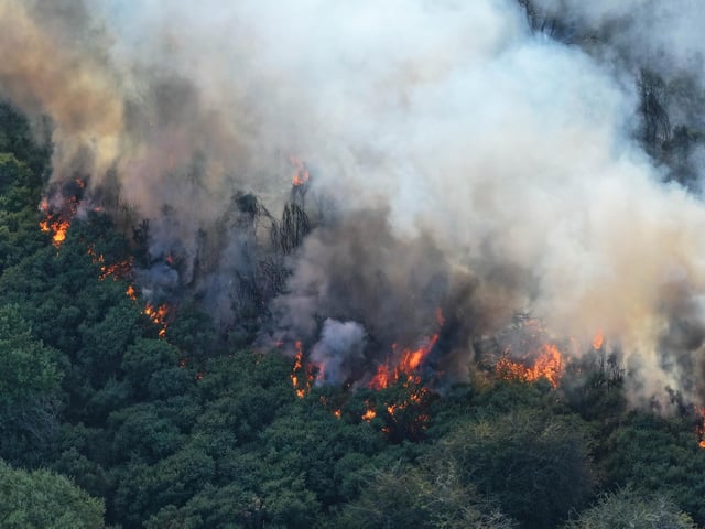 Fire crews worked ‘throughout the night’ to bring a wildfire under control at a beauty spot in Sussex.