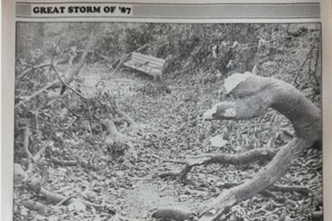 Damage caused in Alexandra Park