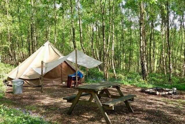 East Sussex has been named as the best place to go camping in the South East at an awards ceremony. Picture: Beech Estate Campsite