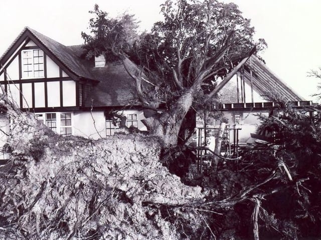 The aftermath of the Great Storm in Eastbourne