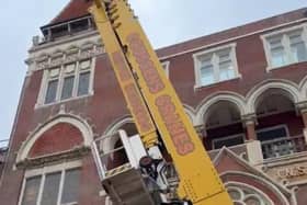 Bird rescued from Hastings Library building by using giant crane