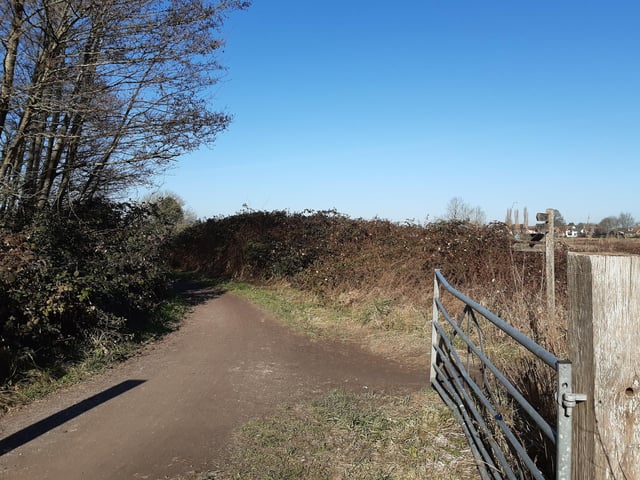 Go through the gate and take the path straight ahead.