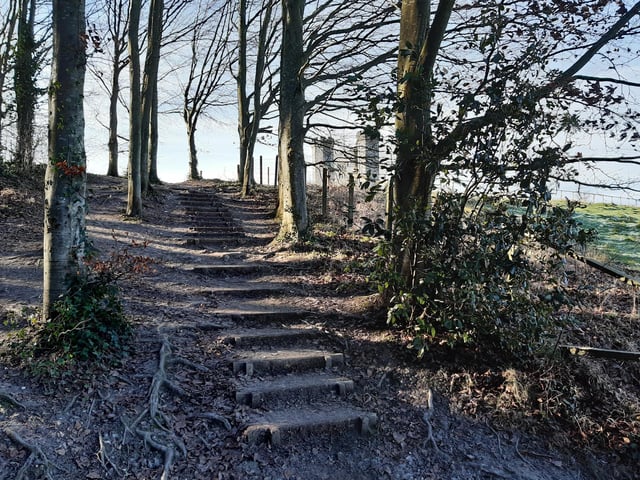 There are steps for you to take, continuing up the hill.