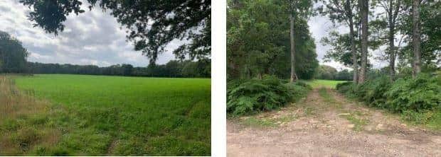 Planning permission is being sought to use a field at Coldwaltham as a summer camp site