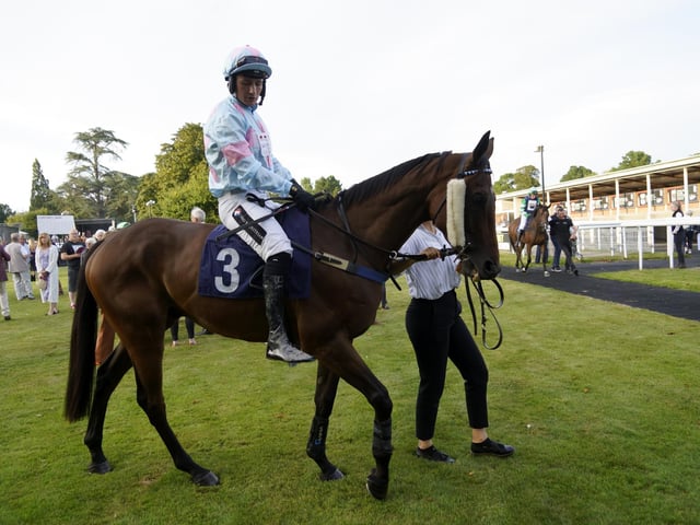 Race 6 The Rapunzel Me Bouncy Blow And Go Novices Limited Handicap Hurdle Race (Div I) at Fontwell on Friday 30 August 2024. www.polopictures.co.uk Fontwell Arundel Clive Bennett 20240830 ©2024 Clive Bennett Photography 30/08/2024 _CAB7008.JPG : Fontwell Park Ladies' Evening 2024