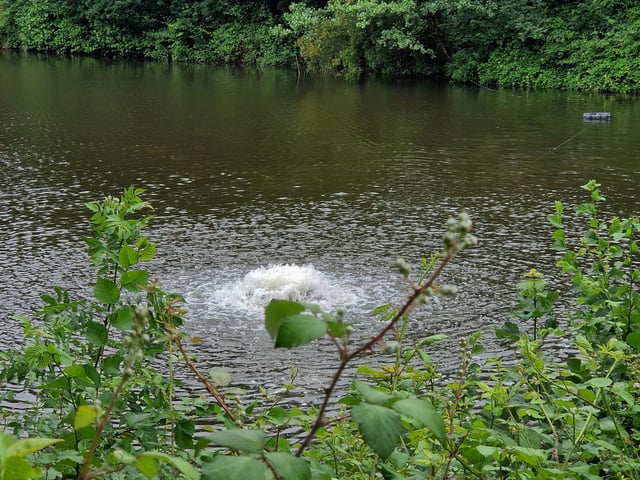 Buckshole Reservoir in Hastings.