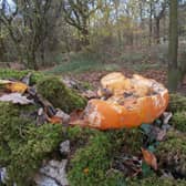Halloween 2022: “Pumpkin dumping a scary threat to wildlife this Halloween”- warns the Woodland Trust