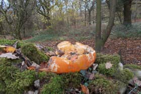 Halloween 2022: “Pumpkin dumping a scary threat to wildlife this Halloween”- warns the Woodland Trust