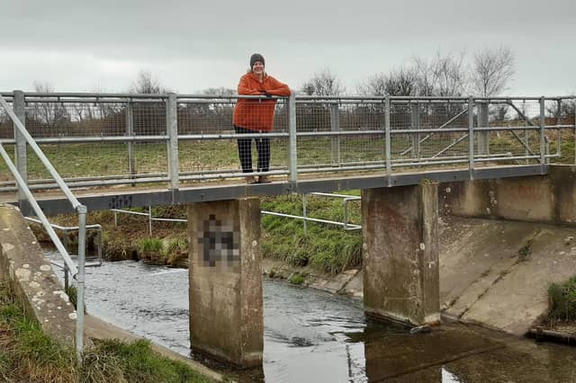 Reporter Elaine Hammond continues her new series of West Sussex walks with photos and video to guide you