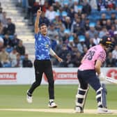 Steven Finn celebrates a Sussex T20 wicket | Picture: Sussex Cricket