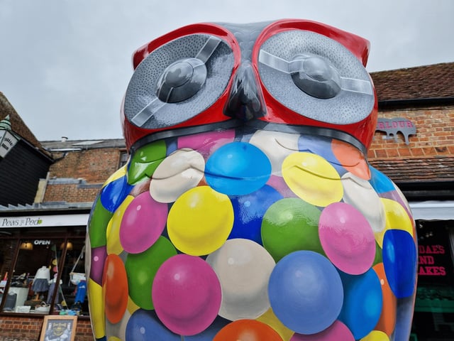 Colourful owls have flown into Arundel as part of the Wild in Art event The Big Hoot trail, raising money for Chestnut Tree House.