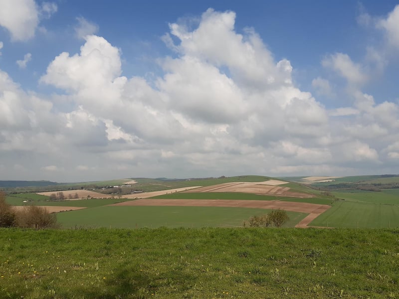 Here is an opportunity to stop and enjoy the views over to the Monarch's Way and Blackpatch Hill, to Church Hill and Michelgrove Park.