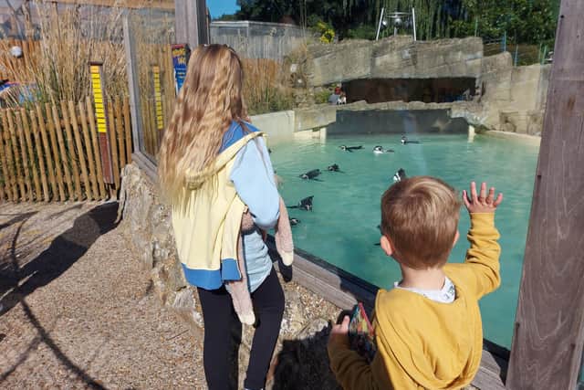 The penguins are always a favourite