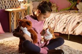 Rye school girl Freya Duffy-Allain stars in national TV campaign for Cats Protection