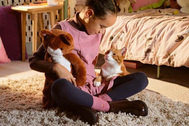 Rye school girl Freya Duffy-Allain stars in national TV campaign for Cats Protection