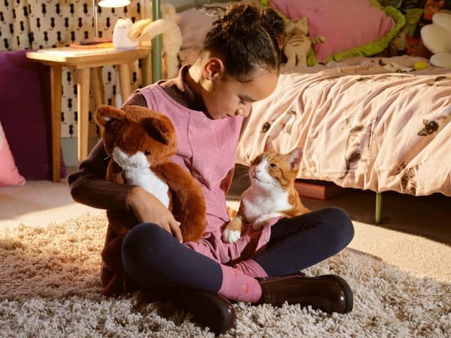 Rye school girl Freya Duffy-Allain stars in national TV campaign for Cats Protection
