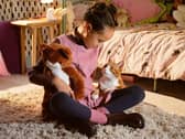 Rye school girl Freya Duffy-Allain stars in national TV campaign for Cats Protection