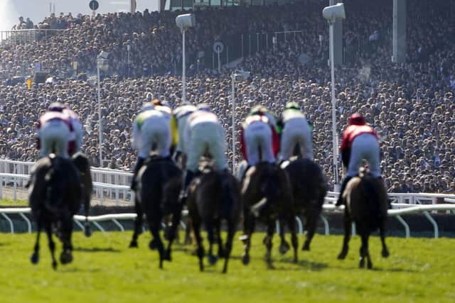 It's time for Cheltenham 2023 (Photo by Alan Crowhurst/Getty Images)