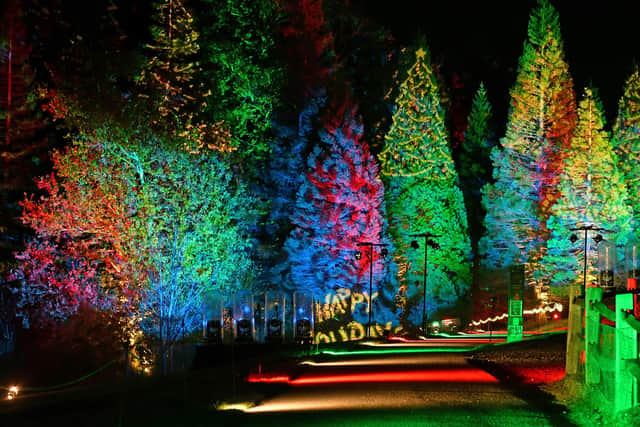 Magical nights promised at Bedgebury’s Christmas light trail 2022
