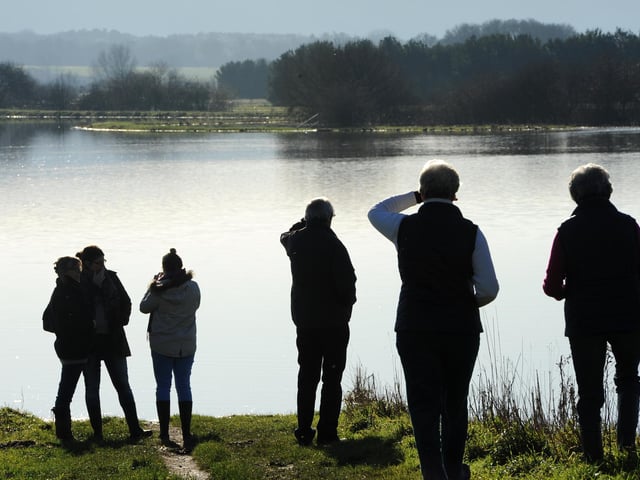 Pulborough Brooks in 2013