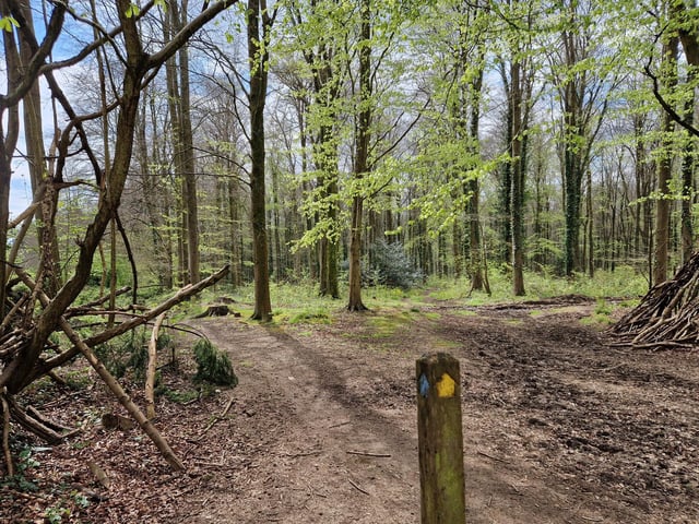 At this signpost with a blue arrow on one side and a yellow one on another, turn left to follow the yellow route. *By the way, had you chose the middle path I mentioned earlier and followed it, this is where you will end up.