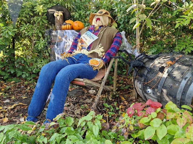 Borde Hill Halloween event and autumn colour. HR26111901 Pic Hollie Robards/Iconic Media Group