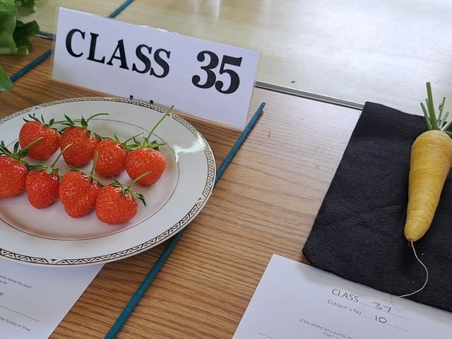 Novelty classes, including figures crafted from fruit and vegetables, sat alongside the spectacle of flowers at East Preston & Kingston Horticultural Society's annual rose show
